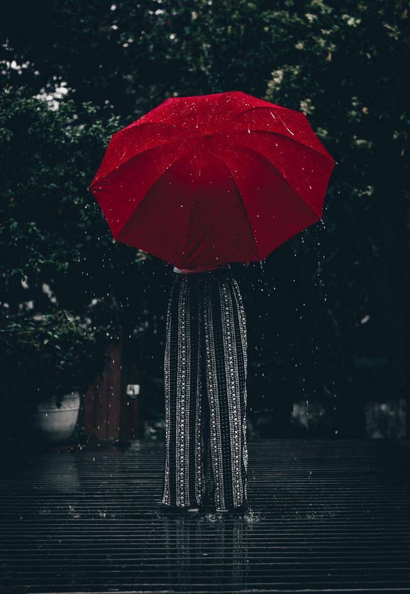 Pexels.com/Aline Nadai
