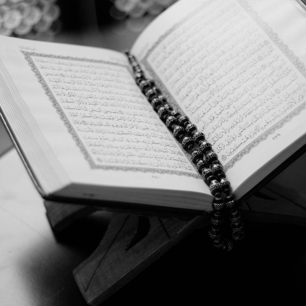 Pexels.com/abdulmeilk majed