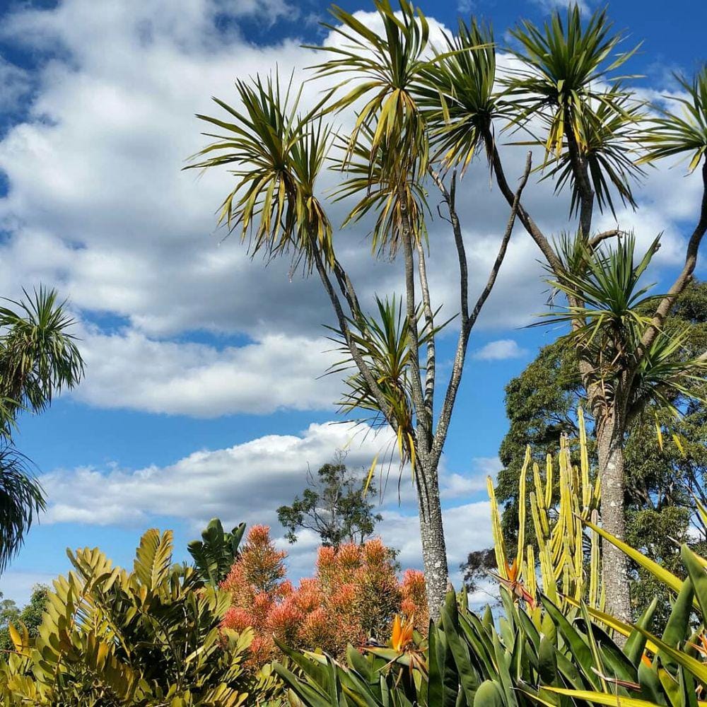 instagram.com/stunningcentralcoast