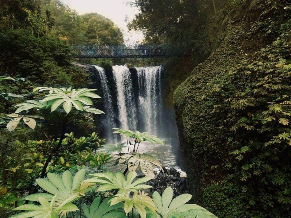 instagram.com/arivin8s