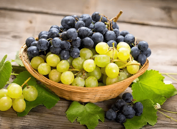 economictimes.indiatimes.com