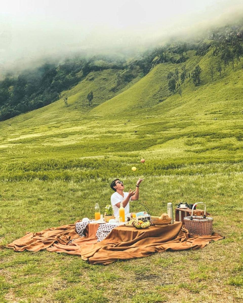 Instagram.com/zilmizola