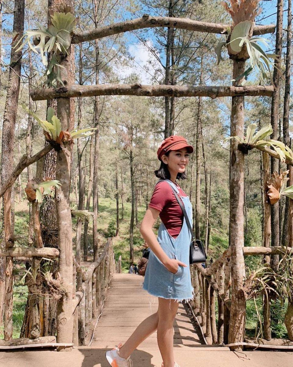 Instagram.com/daraarafah