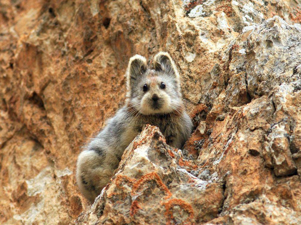 news.nationalgeographic.com