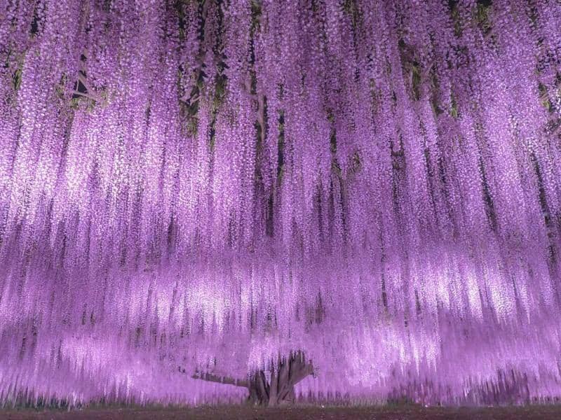 instagram.com/number_shiiix