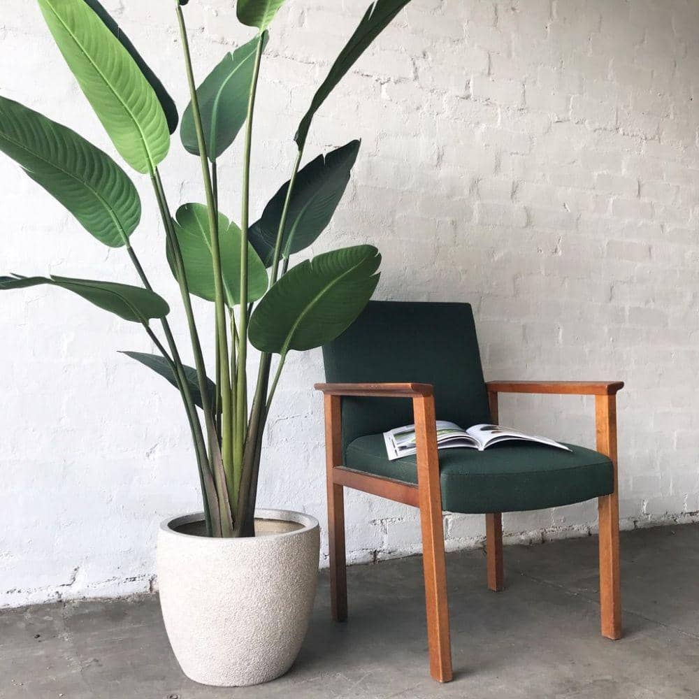 wendycorsistaubcommunity.com