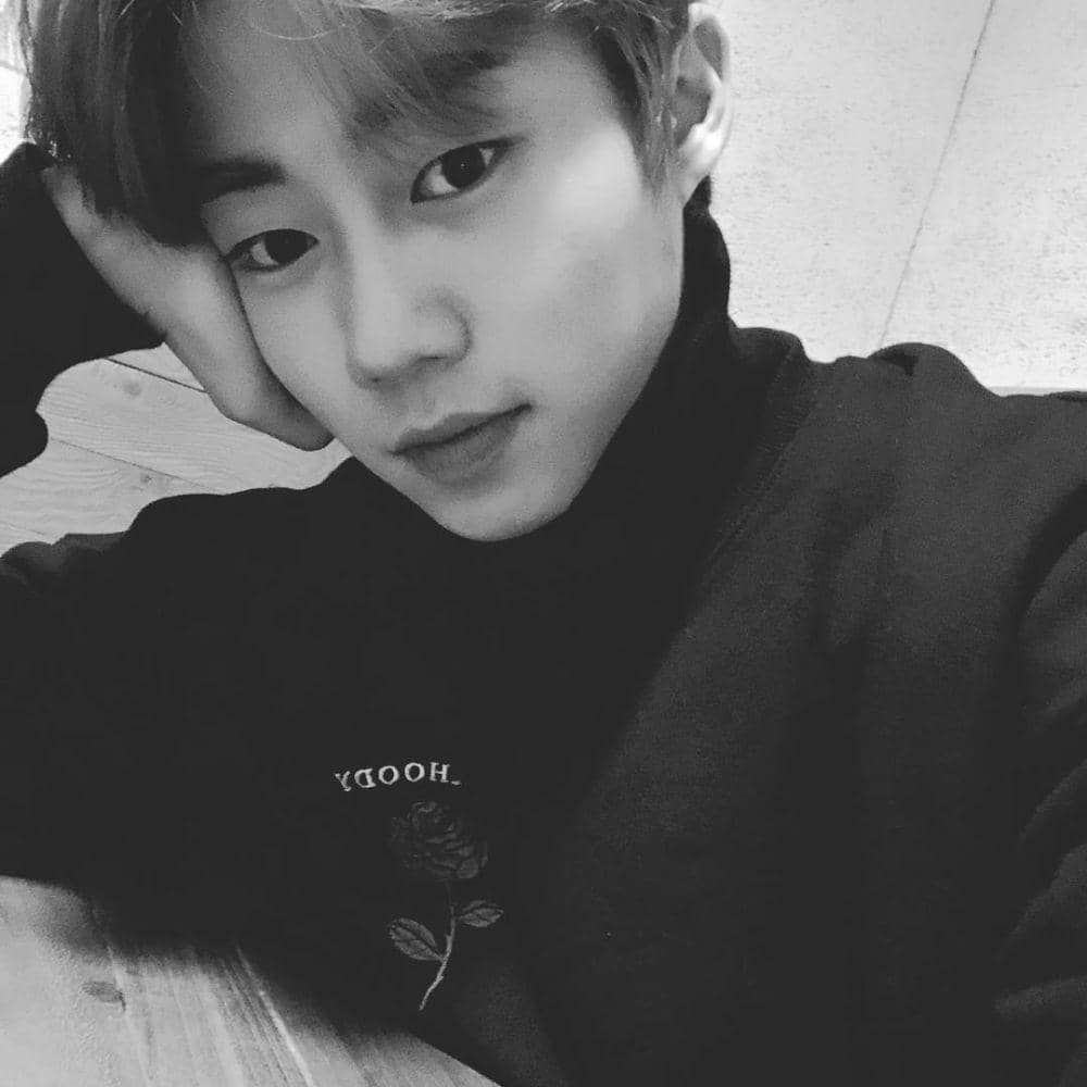 instagram.com/impactorpjb