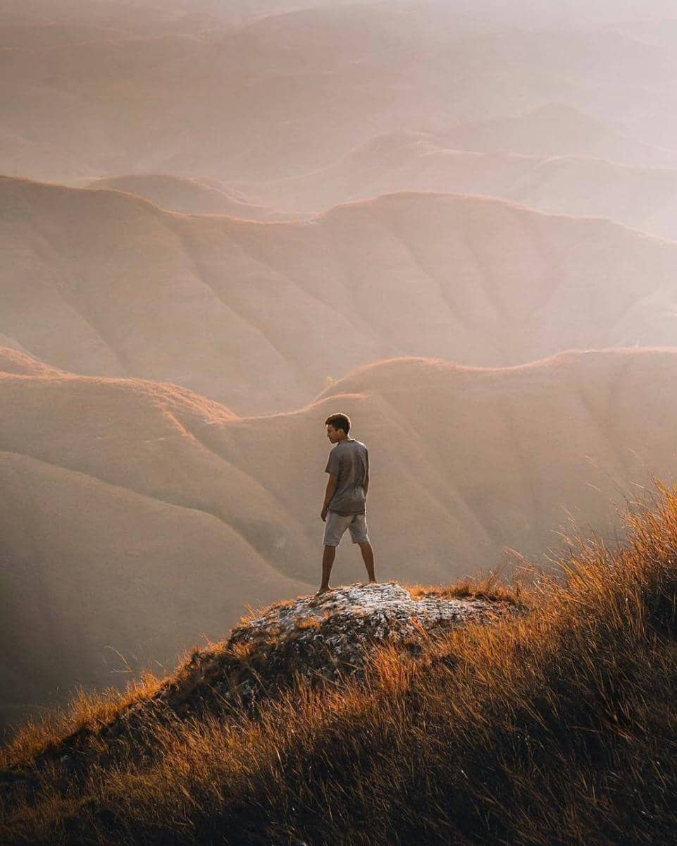 instagram.com/revealindonesia