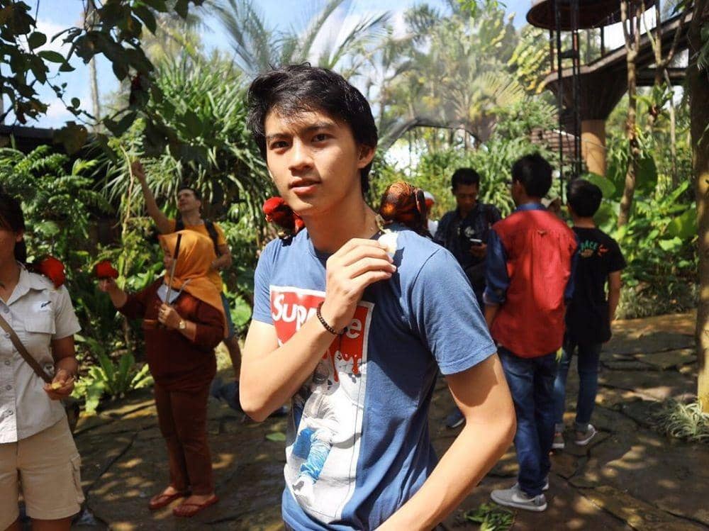 Instagram.com/grayhan10