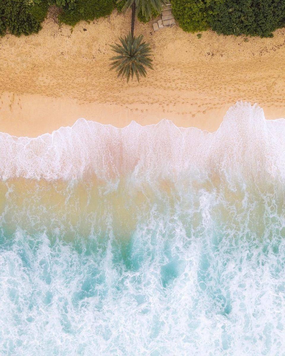instagram.com/honolulu_life