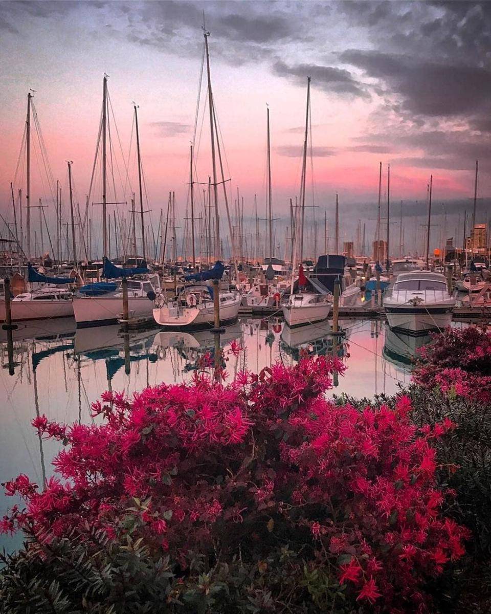 instagram.com/visitauckland