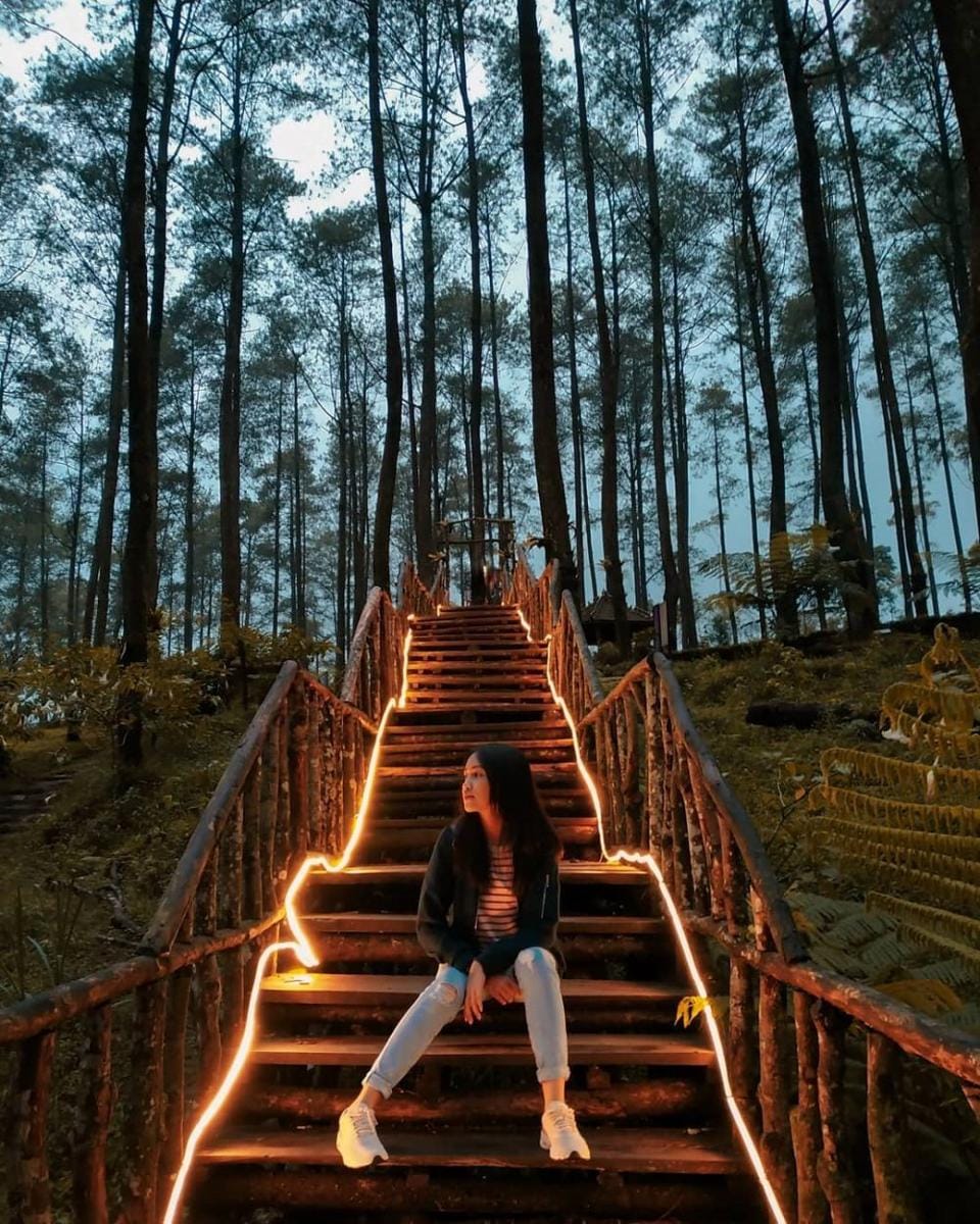 instagram.com/fidiasarii