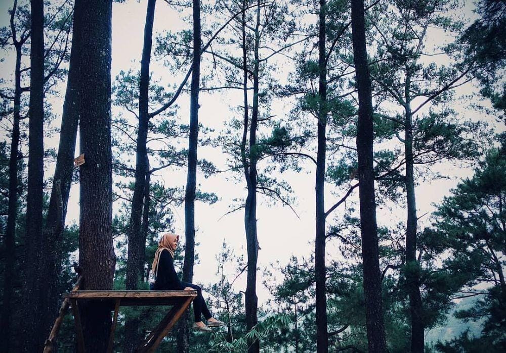 Instagram.com/anaafifah_