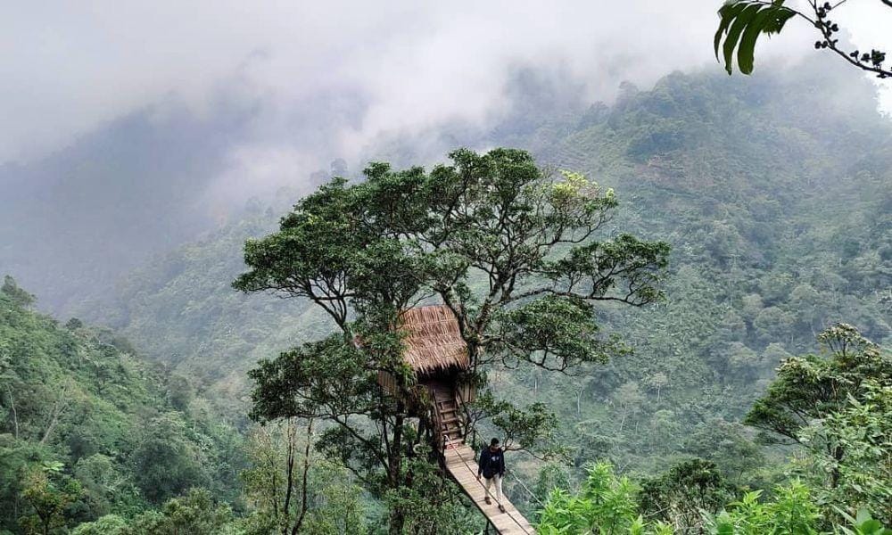 Instagram.com/mahfud_safrudin21