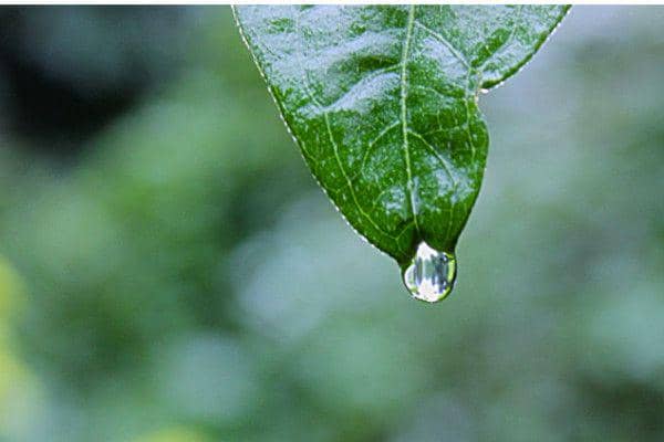 Unsplash/shyamantabaruah