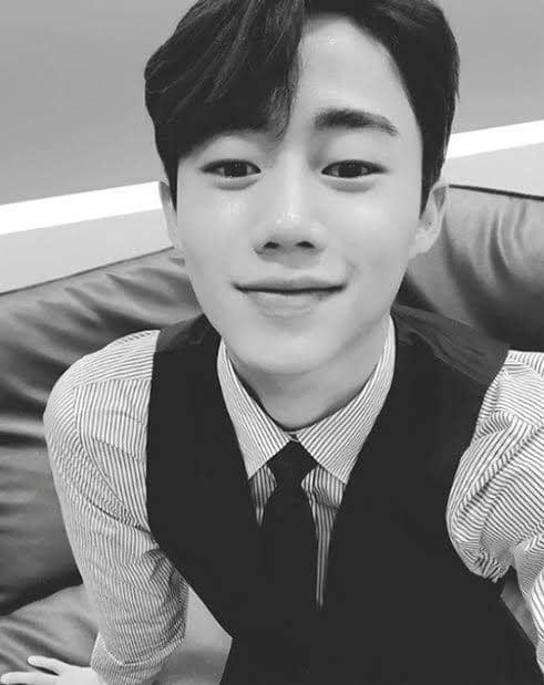 instagram.com/ impactorpjb