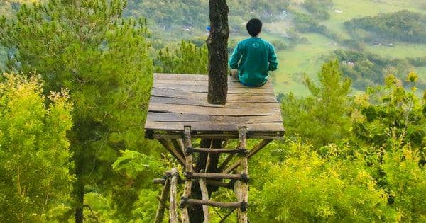 pexels/samuel silitonga