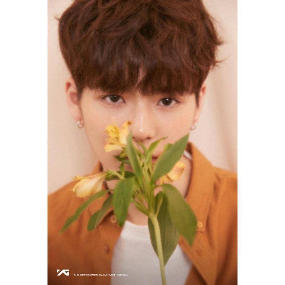 instagram.com/yg.treasurebox