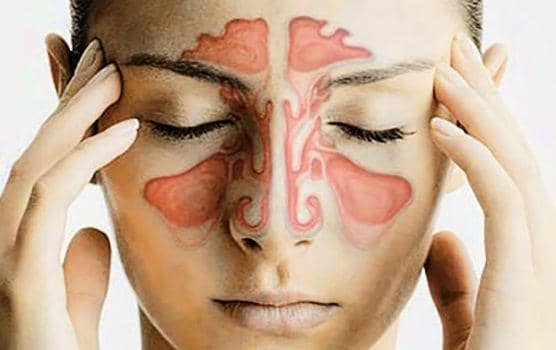 holistichealingnews.com