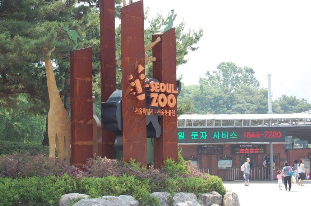 backpackerlee.wordpress.com