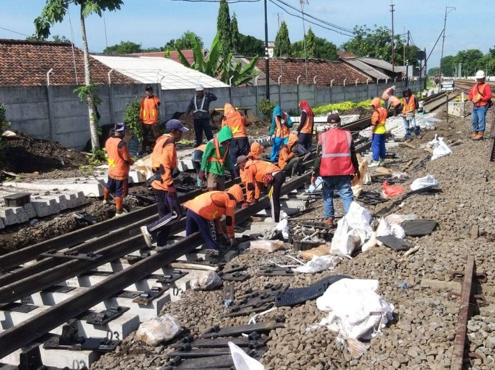 Dok.IDN Times/Istimewa