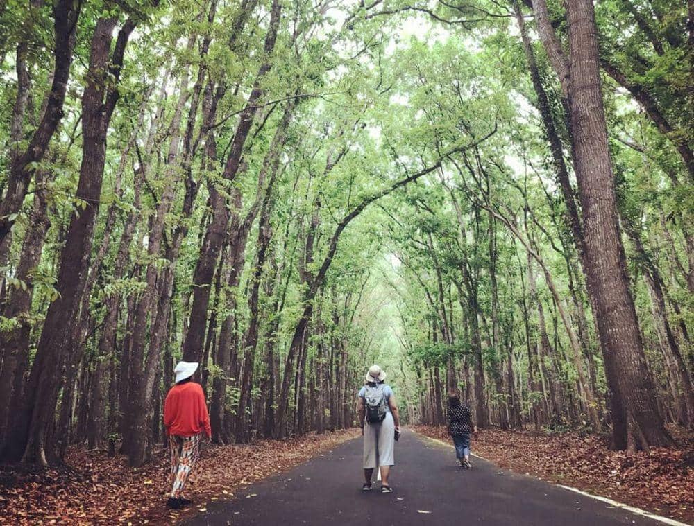 instagram.com/ngemilstamasya/