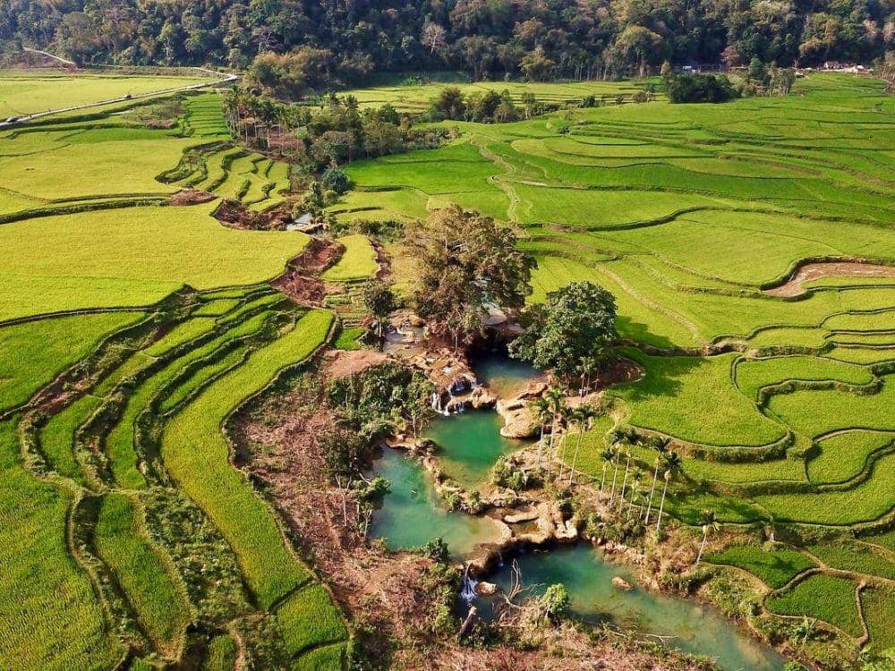 instagram.com/v.pattiasina