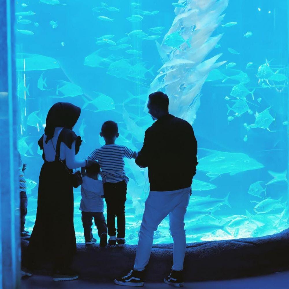 Instagram.com/sorayalarasat1