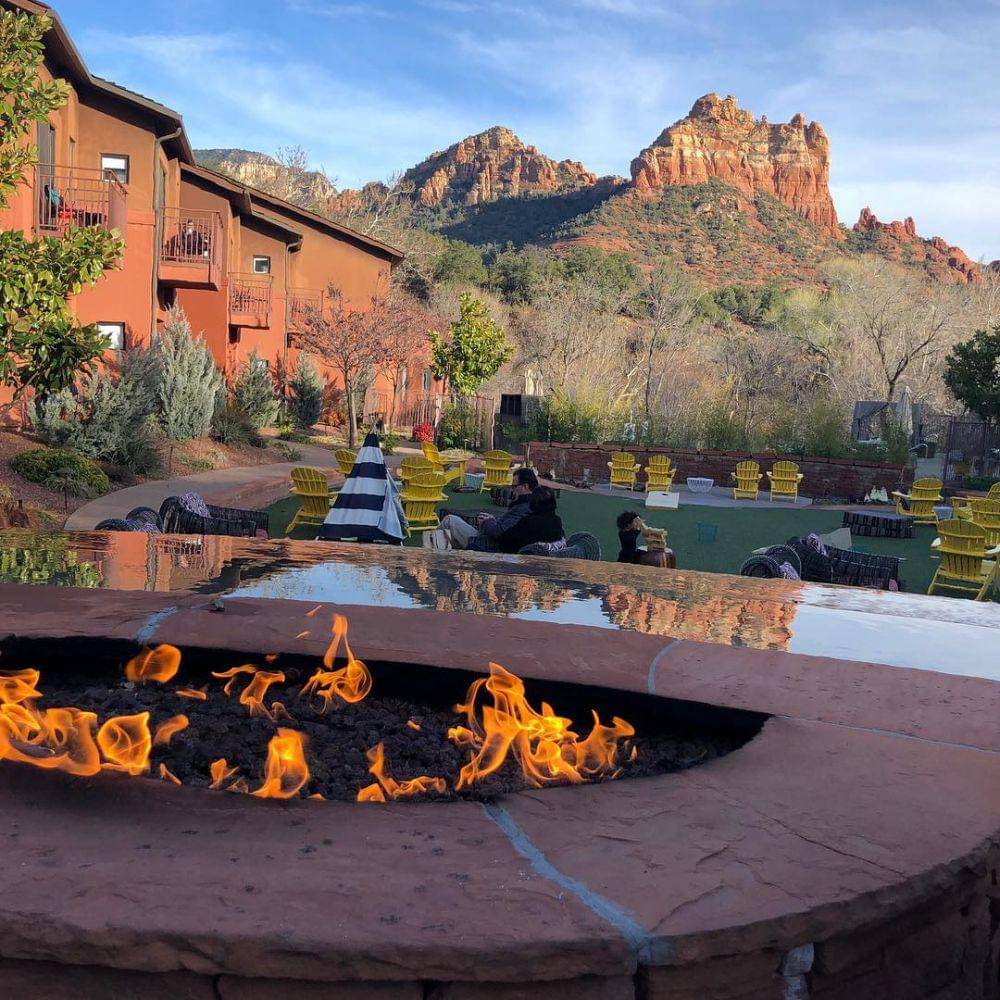 instagram.com/clfeck