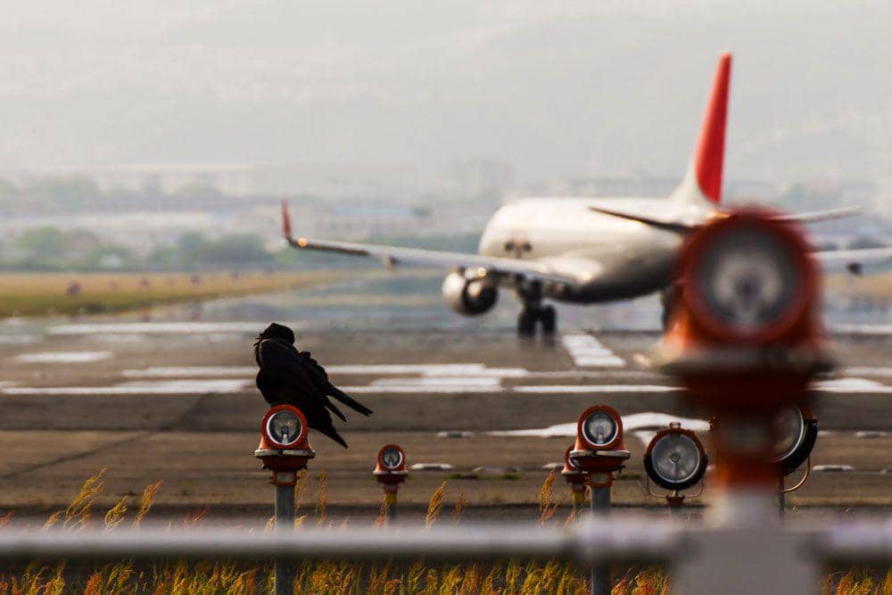 upperlimitaviation.edu