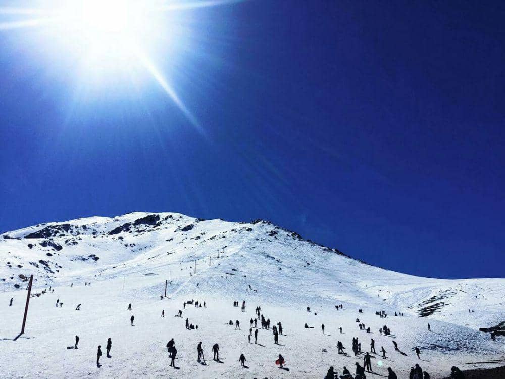 instagram.com/marianinou