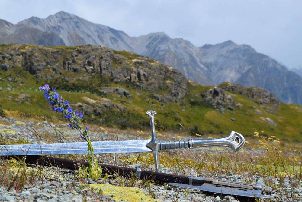 backpackerguide.nz