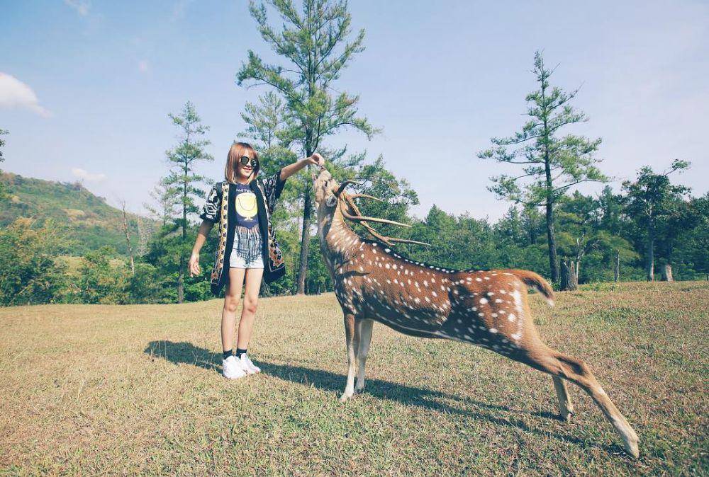 instagram.com/steffy_ai/