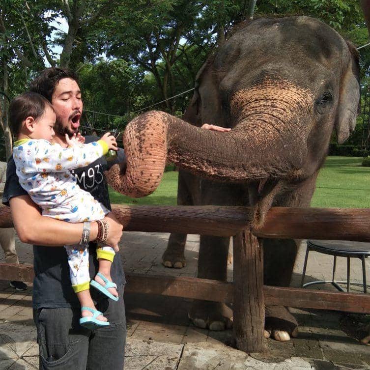 Instagram.com/donnymichael