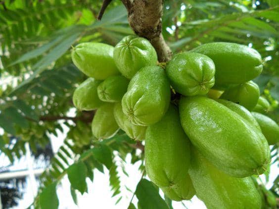 pinterest.at/serfianipratiwi