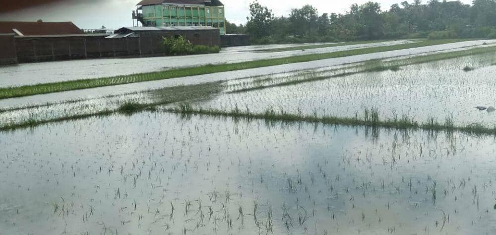 IDN Times/Daruwaskita