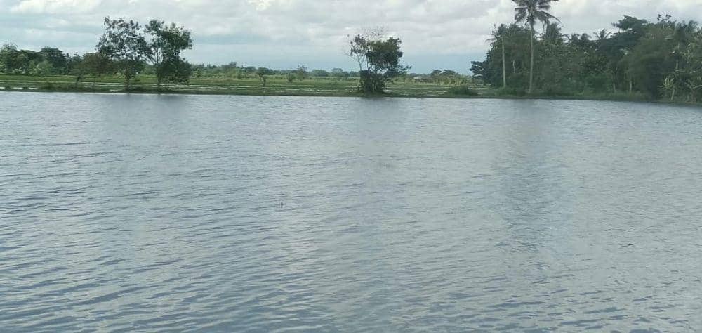 IDN Times/Daruwaskita