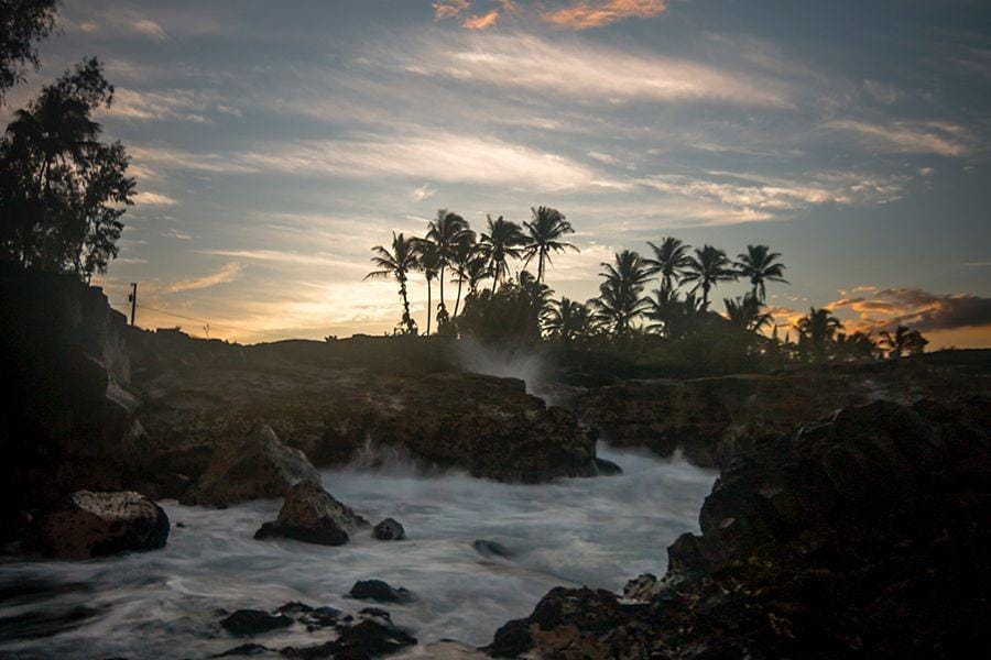 Unsplash/Steve Halama