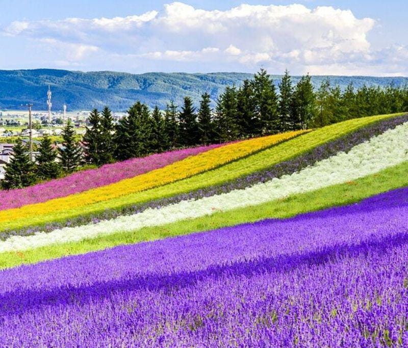 instagram.com/dwidaya_tour