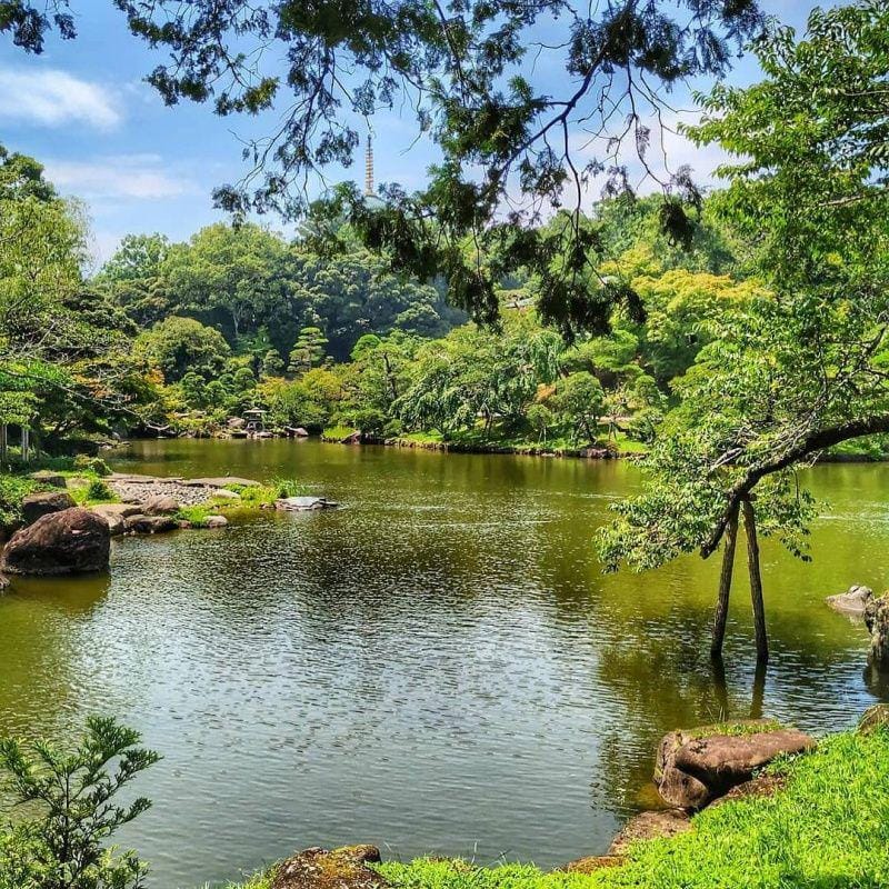 instagram.com/narita_transit_stay