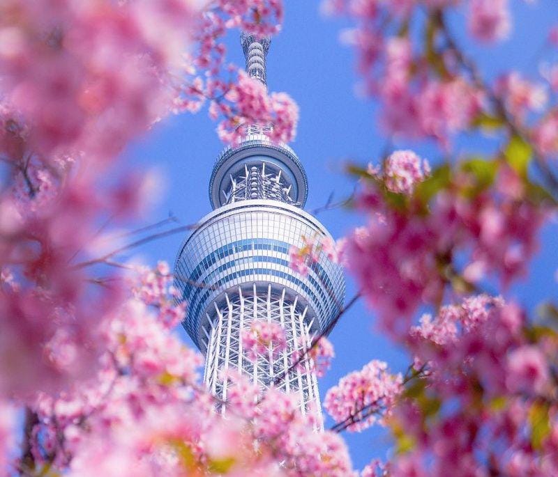 instagram.com/objectifjapon