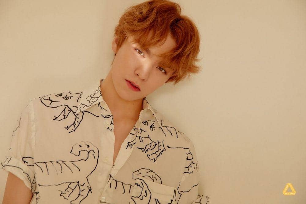 Dok Pledis Entertainment