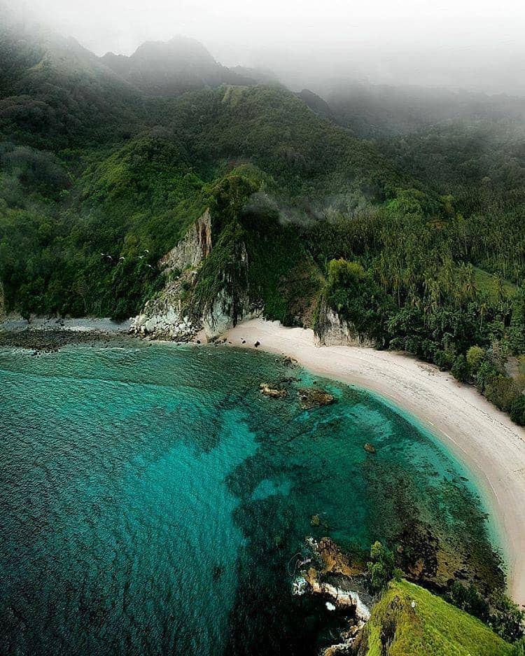 instagram.com/flores_awesome