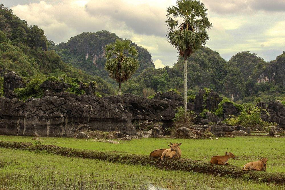 blognyasaptodhodol.wordpress.com