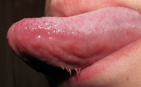 commons.wikimedia.org