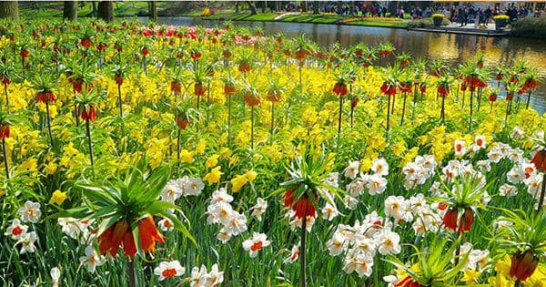 IDN Times/Nofinda Ghaisani