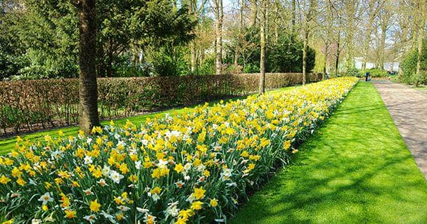 IDN Times/Nofinda Ghaisani