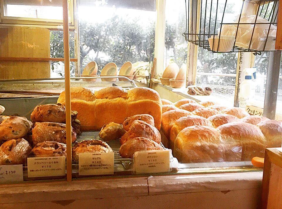 instagram.com/oceanlove2