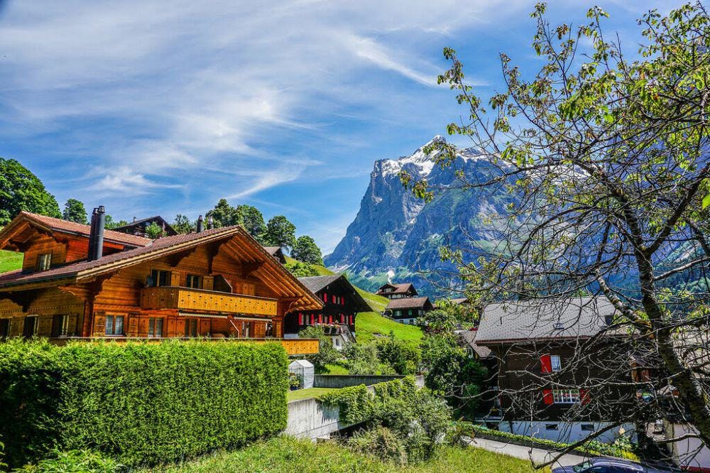 pelemelebenjamin.blogspot.com