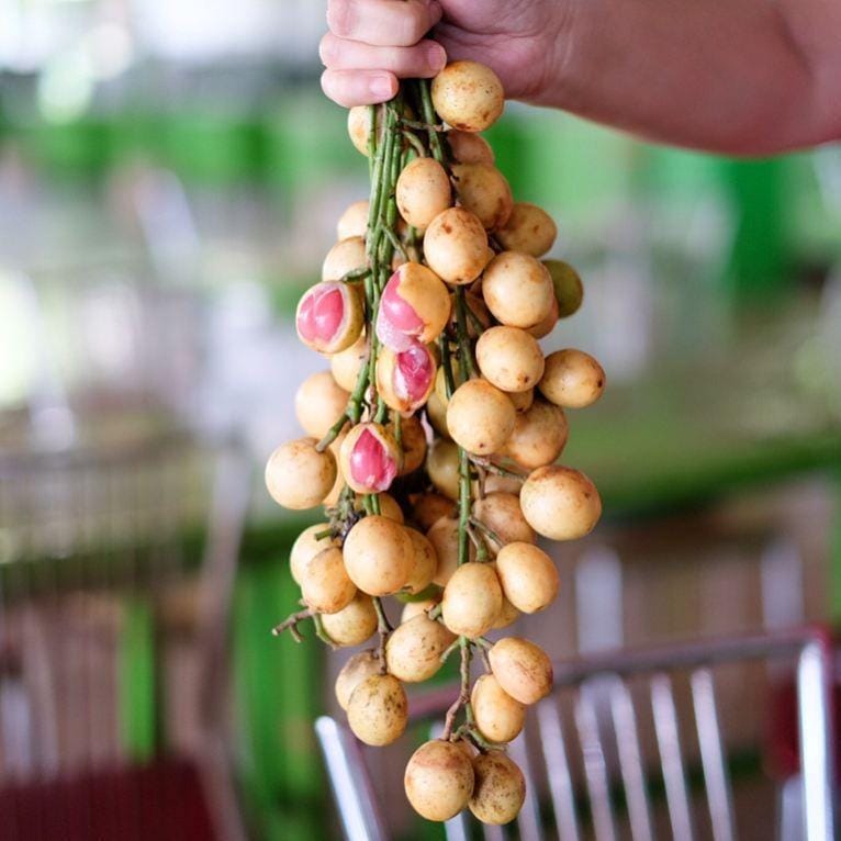 instagram.com/indonesian.foodies/